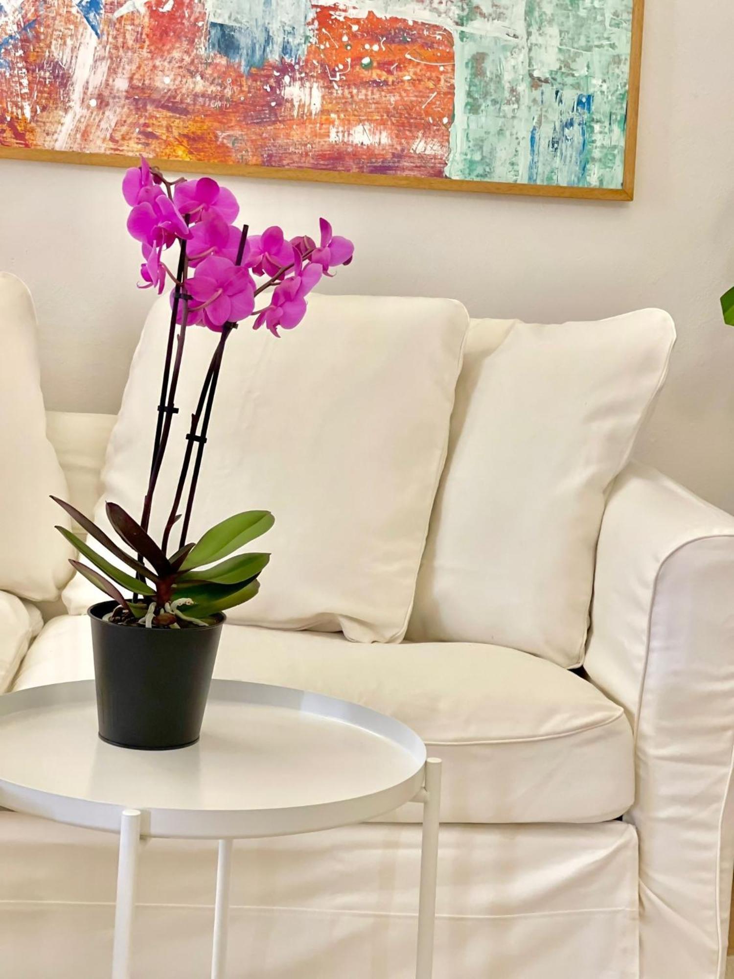 Susannas Lovely New Apartment ลีวอร์โน ภายนอก รูปภาพ